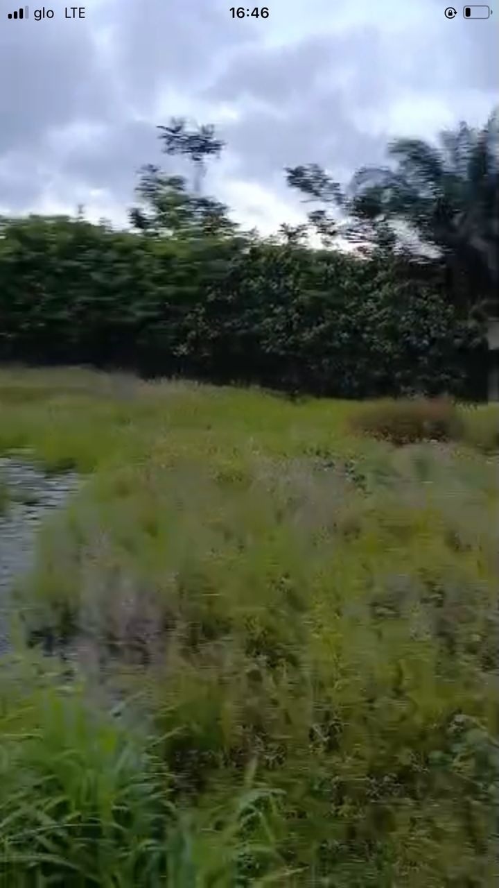 c4b2d96a-a0a6-4ebd-86c1-8d30e55d70ab