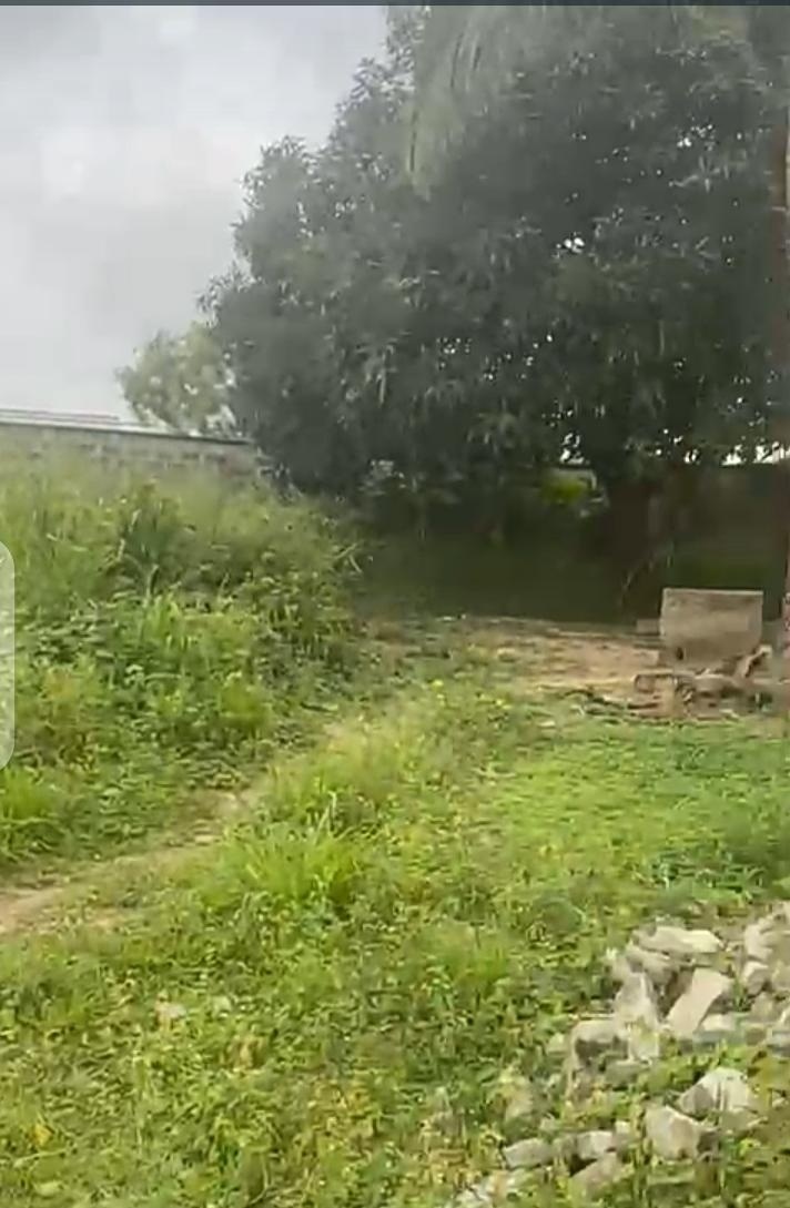 cb26b3b3-3588-4381-b211-1f35f784d03f