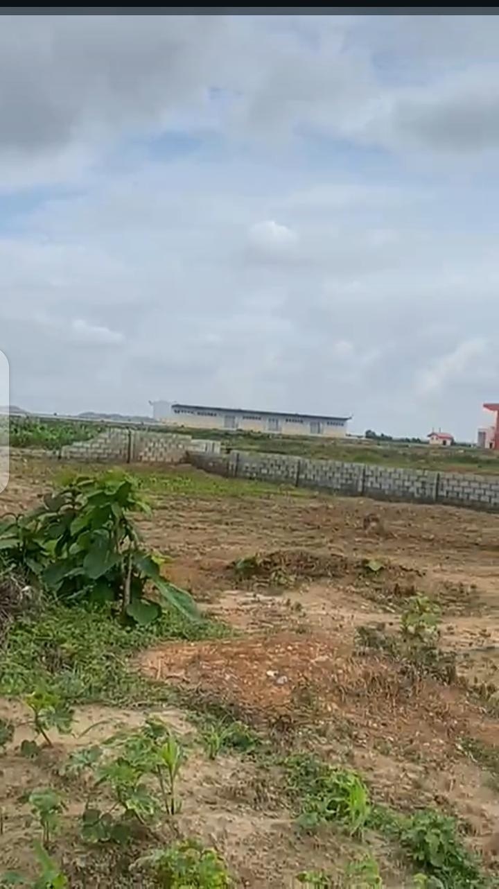 79519735-2086-43b3-8d72-ec72b608014b