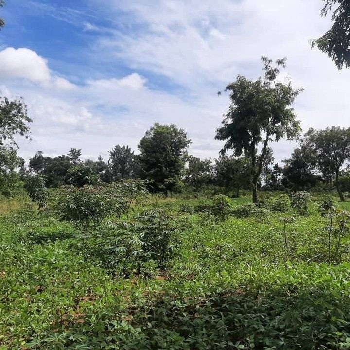 Agricultural-land-for-sale-in-Bugesera…-6
