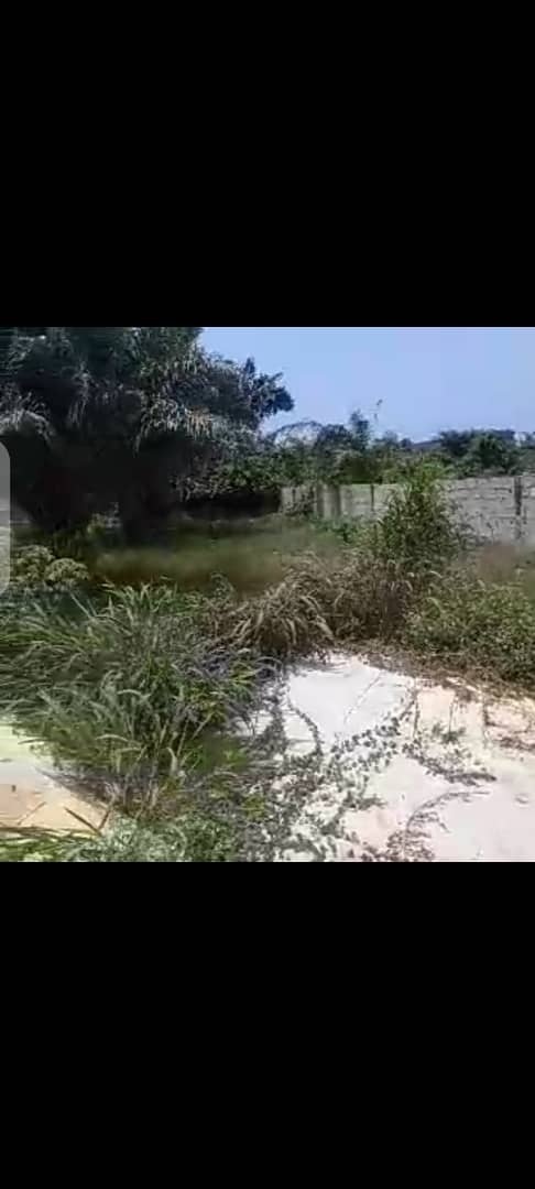 e606f61f-ef73-4520-916e-96c4ee244bb8