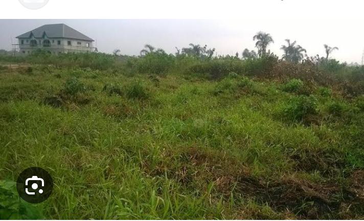 WhatsApp-Image-2025-08-04-at-8.09.48-AM-6